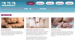 Desktop Screenshot of angsales.com